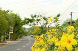 Người dân Lâm Đồng chung sức làm đẹp quê hương