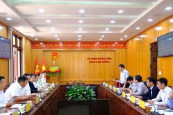 Lâm Đồng trao đổi định hướng hợp tác phát triển năng lượng tái tạo