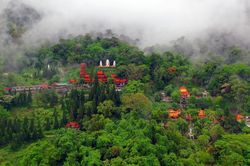Lâm Đồng thành lập Khu dự trữ thiên nhiên Tà Kóu