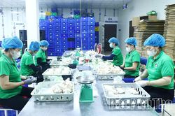 Nông nghiệp tuần hoàn mở hướng phát triển bền vững