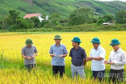 Tạo nền tảng phát triển