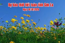 Dự báo thời tiết toàn tỉnh Sơn La ngày 16/10/2026