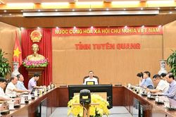 Khẩn trương hoàn thiện, ban hành các văn bản thực hiện Chương trình mục tiêu quốc gia phát triển văn hóa, xã hội, nông thôn, dân tộc miền núi giai đoạn 2026-2035