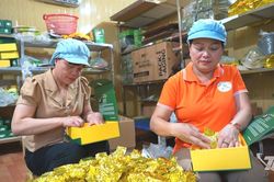 Người tiên phong đổi mới nghề chè ở Vô Tranh