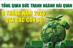 Infographics: Tổng quan bức tranh ngành Hải quan 9 tháng năm 2026 qua các con số