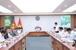 Doanh nghiệp do Bộ Tài chính làm đại diện chủ sở hữu: Doanh thu 9 tháng tăng, lợi nhuận vượt 40,3% kế hoạch