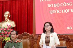 Đắk Lắk lấy ý kiến góp ý các dự án luật do Bộ Công an chủ trì soạn thảo