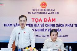 Tham vấn chuyên gia về chính sách phát triển công nghiệp văn hóa