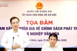 Tham vấn chuyên gia về chính sách phát triển công nghiệp văn hóa