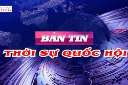 Bản tin Thời sự Quốc hội ngày 15/10/2026