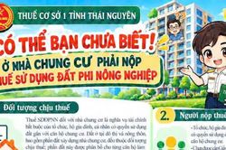 Hạn chót nộp thuế đất phi nông nghiệp, chủ căn hộ chung cư có thuộc diện phải đóng?