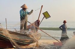Huế: Đa dạng hóa sinh kế từ nghề biển truyền thống