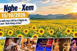 Đi - Nghe - Xem 15/10/2026: Ngắm biển hoa 150 ha ở Nghệ An, đêm xem 'Anh hùng cờ lau'