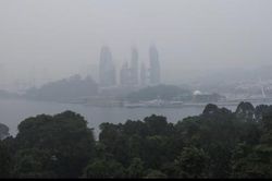 Cháy rừng ở Indonesia khiến các nước láng giềng chìm trong khói bụi