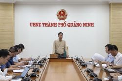 Điện gió Quảng Ninh tháo gỡ vướng mắc, bám tiến độ Quy hoạch điện VIII