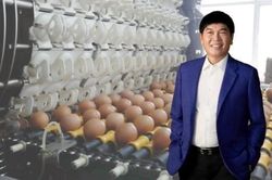 Hòa Phát bán 87 triệu quả trứng trong quý 3