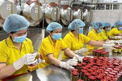 TP.HCM điều chỉnh kịch bản tăng trưởng nhiều ngành để đảm bảo GRDP tăng hơn 10%