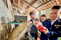 Hà Nội yêu cầu tăng cường quản lý chất lượng nông sản, thực phẩm những tháng cuối năm