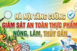 Hà Nội tăng cường giám sát an toàn thực phẩm, nông, lâm, thủy sản
