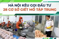 Hà Nội kêu gọi đầu tư 28 cơ sở giết mổ tập trung