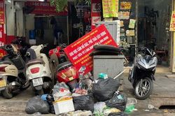 Rác thải bủa vây bốt điện trên đường Hoàng Mai