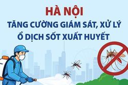 Hà Nội tăng cường giám sát, xử lý ổ dịch sốt xuất huyết