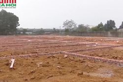 Bộ Nông nghiệp và Môi trường giải đáp điều kiện tách thửa đất khi chia thừa kế