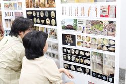 Những phát hiện mới về Khảo cổ học năm 2026