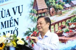 Nông sản Việt: Từ trang trại lên bàn ăn thế giới