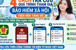 Hướng dẫn 4 cách tra cứu quá trình tham gia BHXH
