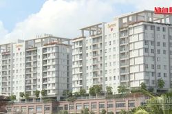 [Video] Ngày 2/11 là hạn chót để chủ căn hộ chung cư nộp thuế sử dụng đất phi nông nghiệp