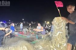 Được mùa cá tươi, làng chài ven biển ở Hà Tĩnh rộn rã về đêm