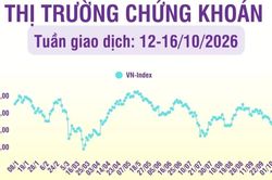 [Infographic] Chứng khoán tuần 12-16/10: VN-Index phục hồi nhẹ trong phiên cuối tuần,