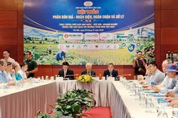 Chống phân bón giả - cần chế tài đủ mạnh