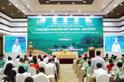 Đồng hành cùng nông dân xây dựng nông thôn an toàn, phát triển