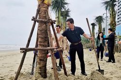 Đề xuất đầu tư hơn 12,5 tỷ đồng cải tạo, chỉnh trang các bãi biển du lịch Đà Nẵng