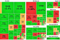 'Cổ phiếu Vua' bứt phá, VN-Index bật tăng sau 7 phiên giảm