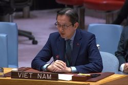 Việt Nam đề cao đối thoại, tôn trọng luật pháp quốc tế trong giải quyết vấn đề Trung Đông