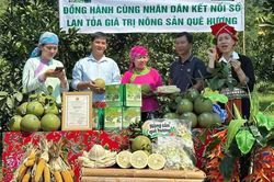 Đưa 'trường quay' ra vườn: Nông dân Lào Cai livestream chốt hàng nghìn đơn nông sản