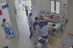 Đi làm nương, hai vợ chồng bị đàn ong đốt phải nhập viện cấp cứu