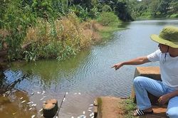 Đắk Lắk phát hiện 4 doanh nghiệp có dấu hiệu đấu nối đường ống xả thải trái phép