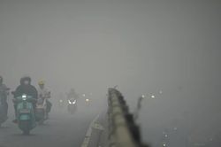 Ứng phó đợt cháy rừng nghiêm trọng nhất trong hơn 1 thập kỷ, Indonesia đồng ý nhận hỗ trợ nước ngoài
