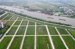 Cận cảnh khu 'đất vàng' ở Ninh Bình bỏ hoang cả thập kỷ, sắp được đấu giá
