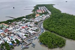 Nghiên cứu xây cửa hàng xăng dầu trên mặt nước ở xã đảo