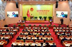 Quy định chức năng, nhiệm vụ và quy chế làm việc mẫu của Đảng ủy Hội đồng nhân dân tỉnh, thành phố