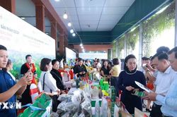 Thái Nguyên kết nối cung-cầu, mở rộng thị trường tiêu thụ sản phẩm OCOP