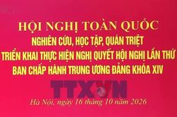 Tổng Bí thư, Chủ tịch nước Tô Lâm: Chủ trương đúng phải trở thành năng lực phát triển thực chất