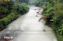 Vịt chết bất thường khi nước sông Cầu đổi màu tại Thái Nguyên