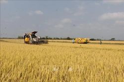 Tiêu điểm trong ngày: Nuôi dưỡng tương lai