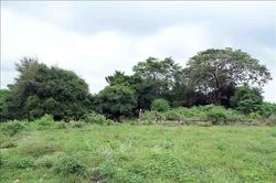 Người dân mong di tích thờ Chúa Tiên Nguyễn Hoàng sớm được phục dựng